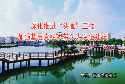 深化推進(jìn)“頭雁”工程，加強(qiáng)基層黨組織帶頭人隊(duì)伍建設(shè)